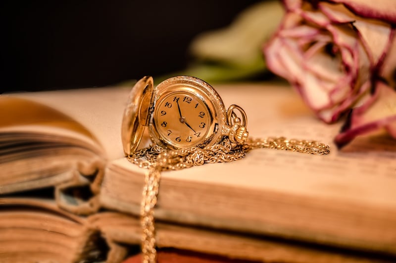 Time Traveler's Diary